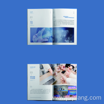 Professional Offset Paper Printing Flyer Printing Brochure